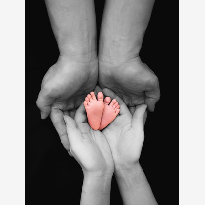 This Momentが撮影した「:albumName」の写真