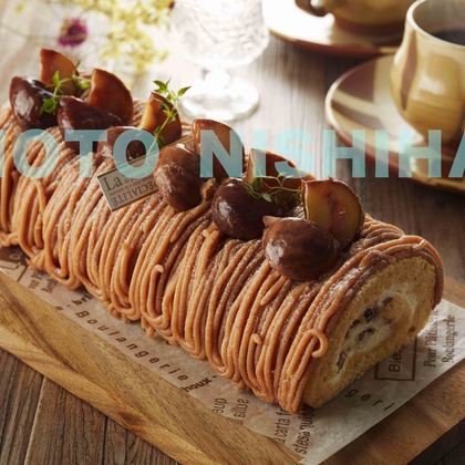 西原毅が撮影した「:albumName」の写真