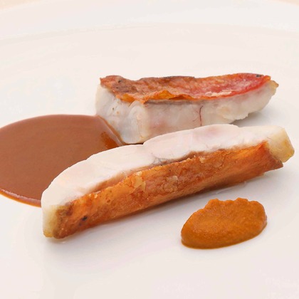 森安　照が撮影した「:albumName」の写真