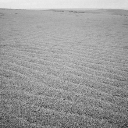 眞田 厚司が撮影したウェディングや家族、ビジネスの写真