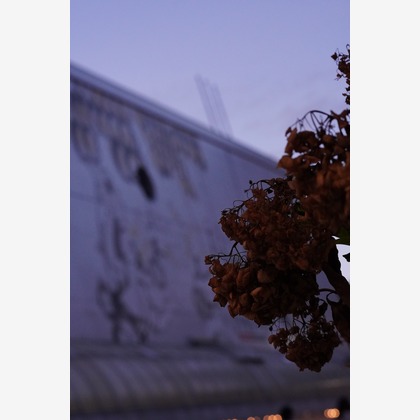 細部　歩が撮影したウェディングや家族、ビジネスの写真