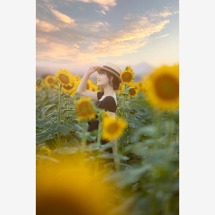 樋上孝典が撮影した「:albumName」の写真