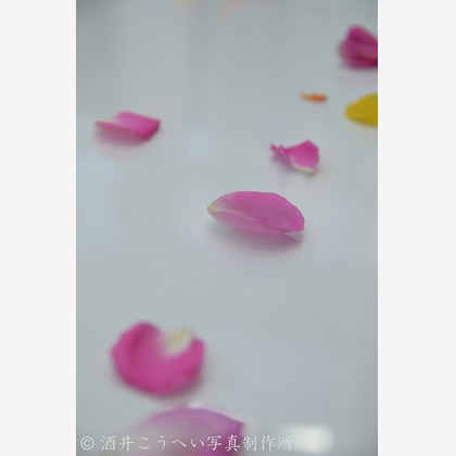 Photo of :albumName taken by kohei