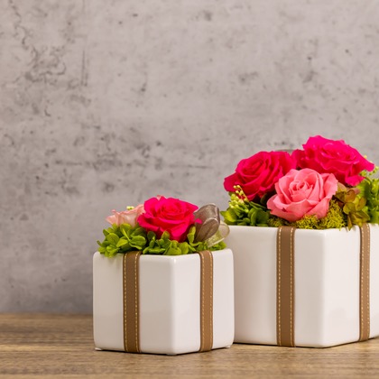 Minminが撮影した商品/物撮りの写真