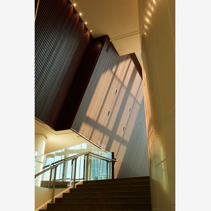 倉木ノエルが撮影した「:albumName」の写真