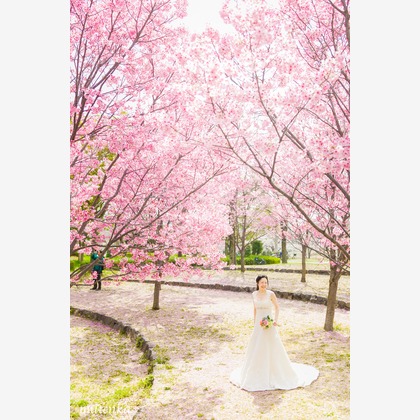 oが撮影したウェディングや家族、ビジネスの写真