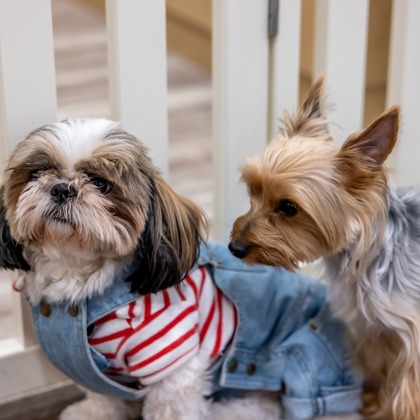 沖山俊樹が撮影した「:albumName」の写真