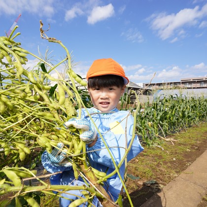 スタジオ　まるが撮影した「:albumName」の写真