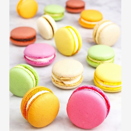 世登理恵が撮影したその他の写真