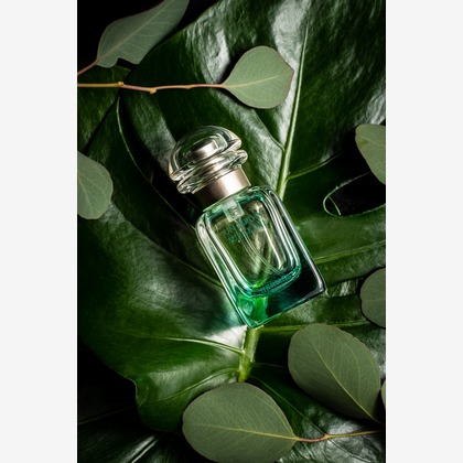 Hiroki Nakane Photographyが撮影した料理撮影/商品/物撮りの写真