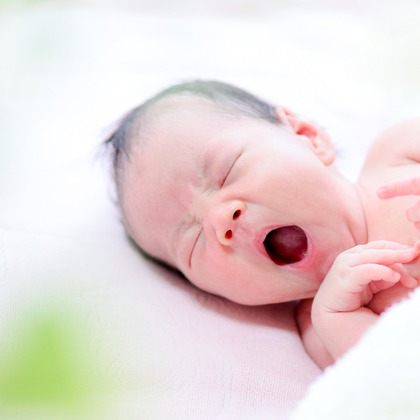 なかがわさとみが撮影した「:albumName」の写真