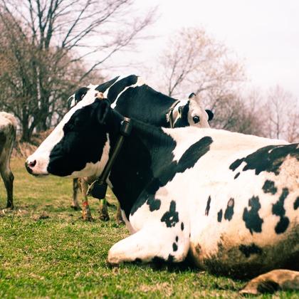 神部葵が撮影したイベント/スナップ撮影の写真