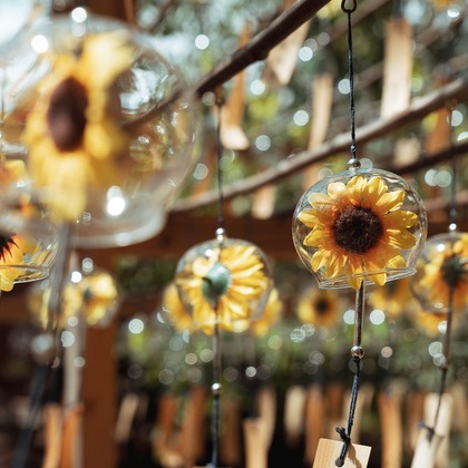 三谷 朋也が撮影した「:albumName」の写真