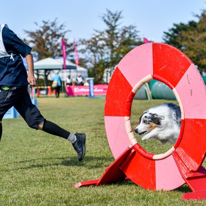 スタジオファンタスが撮影した「:albumName」の写真