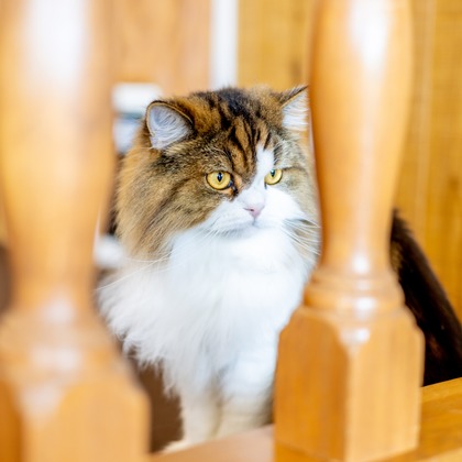 沖山俊樹が撮影した「:albumName」の写真