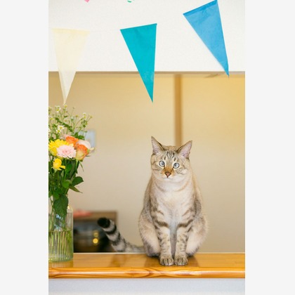 伊東武志が撮影したその他/商品/物撮りの写真