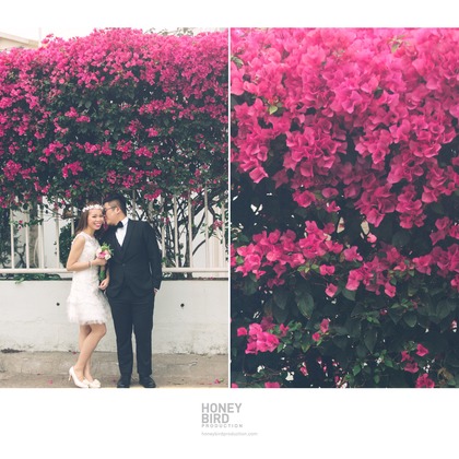 Photo of :albumName taken by Honeybird Production Wedding Photography