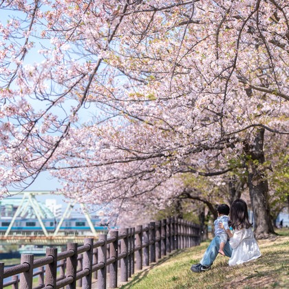 Tempstendreが撮影した「:albumName」の写真