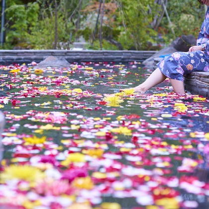 久保寺誠が撮影した「:albumName」の写真