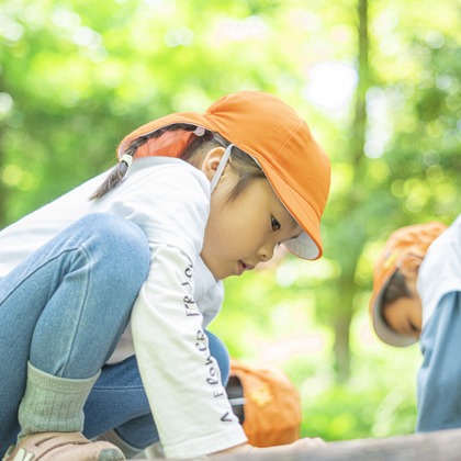 スタジオ11が撮影した「:albumName」の写真