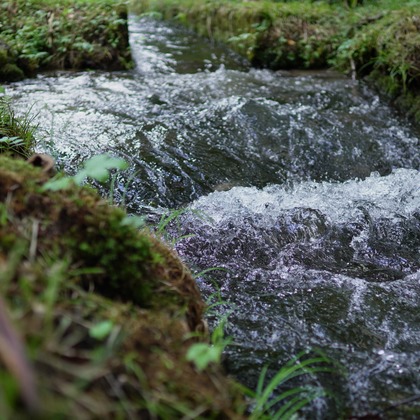細部　歩が撮影したウェディングや家族、ビジネスの写真