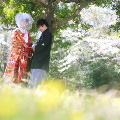 ピュアアーティス(小島 靖雄)が撮影した「:albumName」の写真