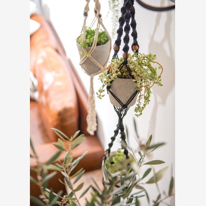 Yoppegraphy Photographic Serviceが撮影した「:albumName」の写真