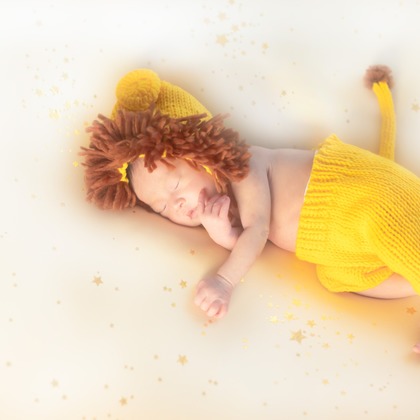 合同会社PHOTO FACTORY LARが撮影した「:albumName」の写真