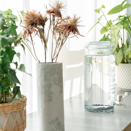 studio cactusが撮影した店舗/オフィス/サロン撮影の写真