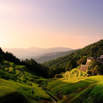 蛭子真写真事務所が撮影したウェディングや家族、ビジネスの写真