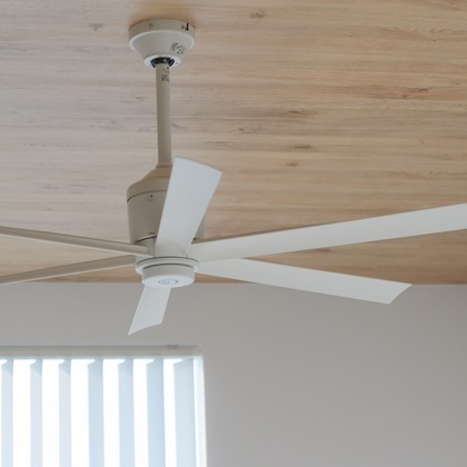 ARAI MAGICが撮影した「:albumName」の写真