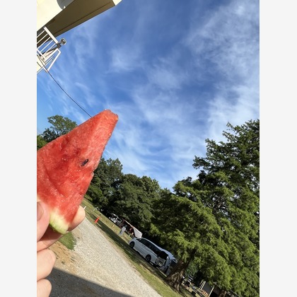 Takeuchi Shunsukeが撮影したその他の写真