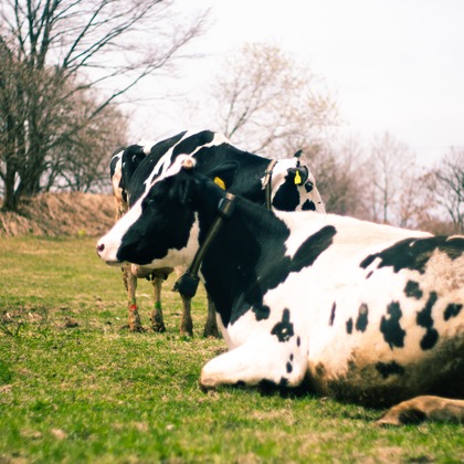 神部葵が撮影したイベント/スナップ撮影の写真
