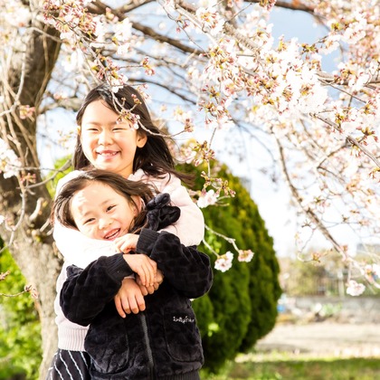 Field of the sun.creativeが撮影した「:albumName」の写真