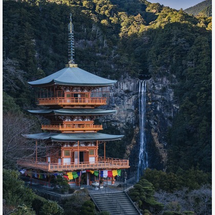 登 将紀が撮影したその他/イベント/スナップ撮影の写真