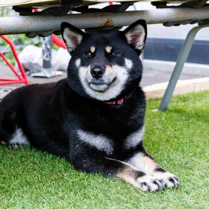 DESIGN STUDIO EEが撮影した「:albumName」の写真