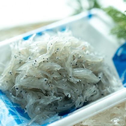 Photography_KanaUが撮影したウェディングや家族、ビジネスの写真