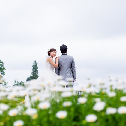 studio HATOYAが撮影した「:albumName」の写真