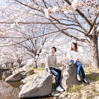 A.cross.imgが撮影した「:albumName」の写真