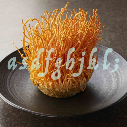 西原毅が撮影した「:albumName」の写真