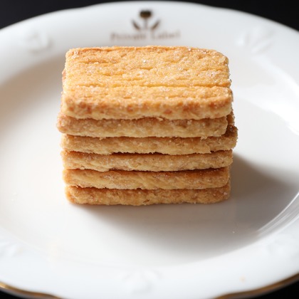 手塚大介が撮影した「:albumName」の写真