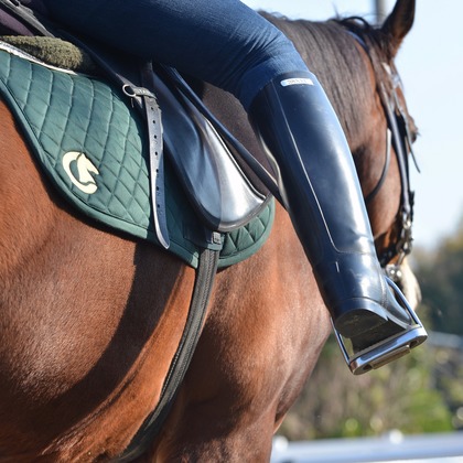 officePW 平山舜二が撮影した「:albumName」の写真