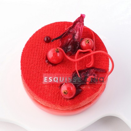 森安　照が撮影した「:albumName」の写真