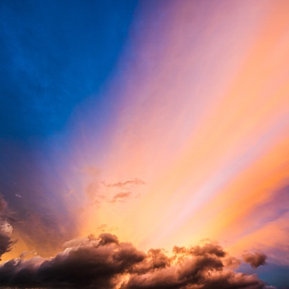 高木勇斗が撮影した「:albumName」の写真