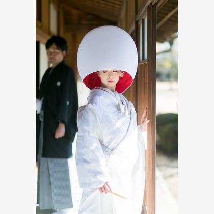 ピュアアーティス(小島 靖雄)が撮影した「:albumName」の写真