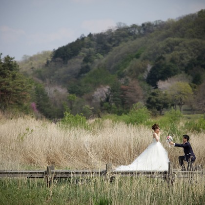 elle pupaが撮影した「:albumName」の写真