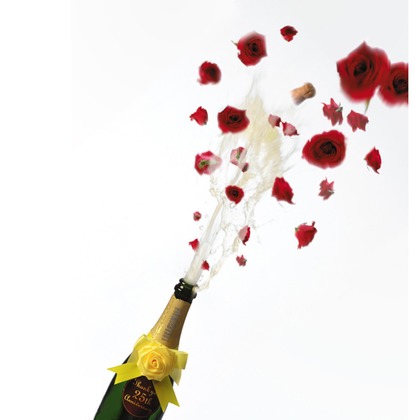 舩津　孝が撮影した「:albumName」の写真