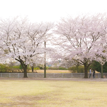 キタノフォトオフィス (北野尚史)が撮影した「:albumName」の写真