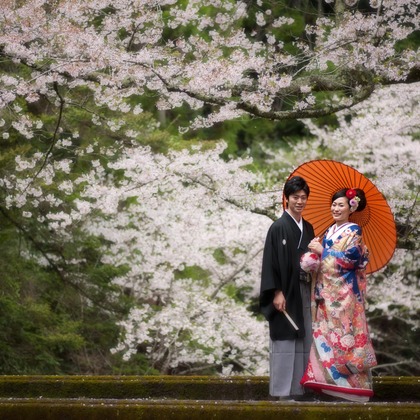 ラ・マリアージュが撮影したウェディングや家族、ビジネスの写真