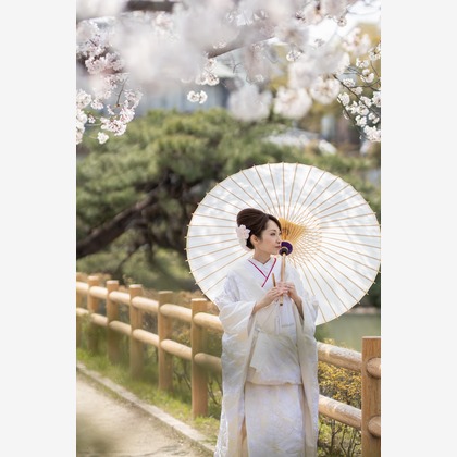 Photo of Kyoto　Prewedding photo with cherryblossom taken by saruco(Hisashi Iwasaki)